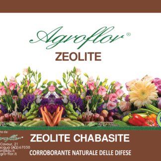 Zeolite